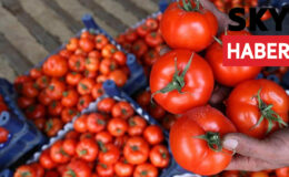 Rusya domatesi ihraç edemedi, semt pazarlarında fiyat 10 TL’ye düştü