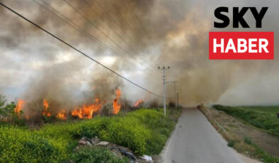 Antalya’da yanan sazlık itfaiye tarafından 1 saatte söndürüldü