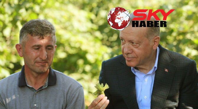 Fındık üreticisi, Erdoğan’ın açıkladığı fiyata isyan etti: Rekolteyi yüksek gösterip, fiyatı düşürüyorlar