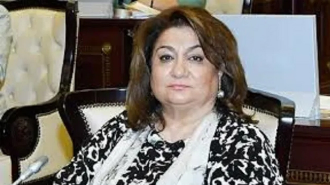 Hijran Hüseynova: “Ermeniler’in işi provokasiyon peşinde koşmak”