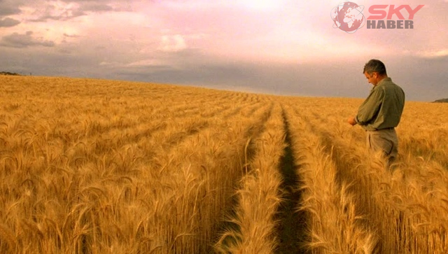 Polonya ve Macaristan, Ukrayna’dan tahıl ticaretini yasakladıklarını duyurdu.