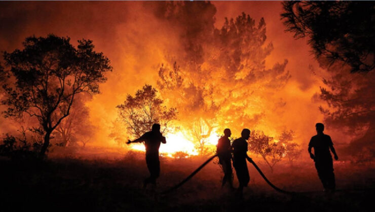 Orman yangınlarında dünya alarm veriyor.